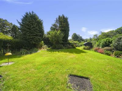 Picture 27